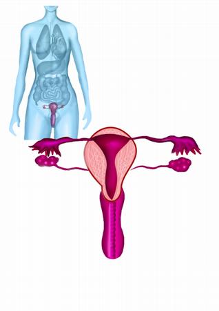 女性养生：春季妇科检查全过程