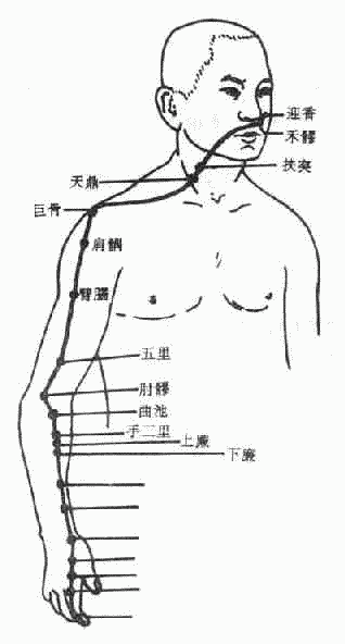 大肠经的主治概要和常用腧穴