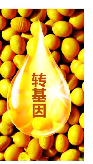 媒体称转基因食用油或已成主流 价格便宜近半