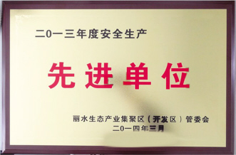 浙江维康荣获2013年度安全生产先进单位称号
