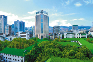 探索公立医院改革 推进卫生事业发展——记贵阳医学院附属医院院长王小林教授