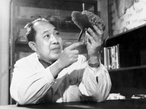 从“三人小组”到“三甲”医院