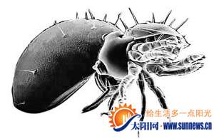 久坐草地惹恙虫厦门一男险丧命 医生：避免在草地久坐