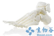 3D打印推动医疗革命