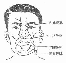 疖痛