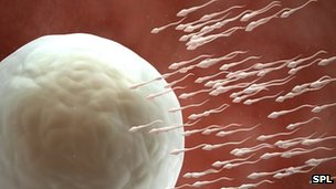 科学家将培育人类精子和卵细胞 或引发伦理问题