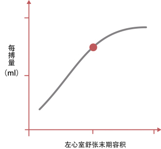 缓慢心律失常（一）