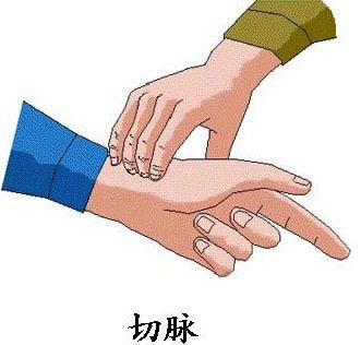 中医教你分清 你属于哪种体质？