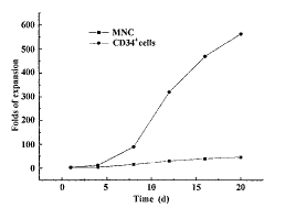 CD34免疫亲合柱在脐血造血干/祖细胞分离与扩增中的应用
