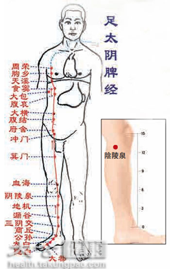 春夏之交 食疗按穴 祛湿要从健脾补脾入手