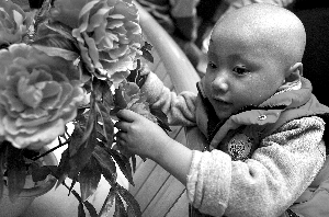 父母四处借钱卖房医治养女