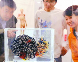 生命奥秘展在京开幕 “黑肺”标本促观众戒烟