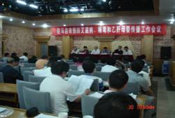 河南省驻马店市召开预防艾滋病、梅毒和乙肝母婴传播工作会议
