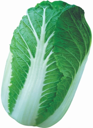 蔬菜养生法 要择优食用才有效