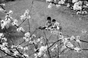悦读春光