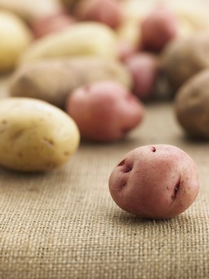 饮食禁忌：13种食物比砒霜还毒