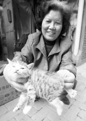 母猫生下一只无尾小猫
