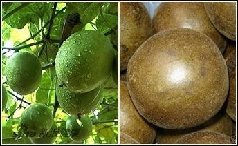抗癌水果蔬菜前18强排行榜