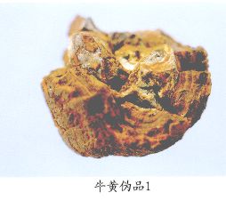 牛黄伪品（1）--猪黄（Zhuhuang）