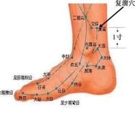 女性养生：养护女人卵巢的7大穴位