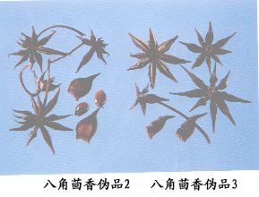 八角茴香伪品（3）--红茴香（Honghuixiang）
