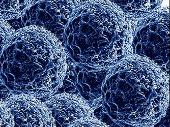 Science医学：对抗癌症的RNAi新平台