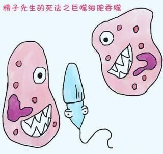 图解精子的15种悲催死法