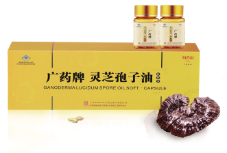 从物质基础看灵芝利用的衍变
