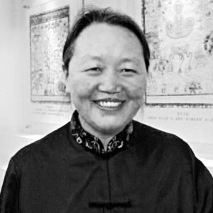 藏医外治的独特方法及研发思路