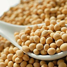 这些“屌丝”食物竟然助长寿
