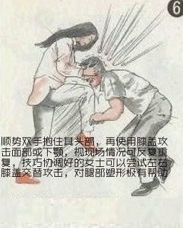 防狼术6
