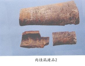 肉桂混淆品（2）--柴桂（Chaigui）