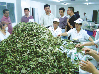 福建：指导企业灾后生产自救