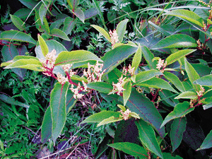 2009的热点，2010的焦点