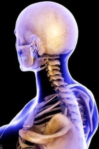 医学3D透视下的人体奇观