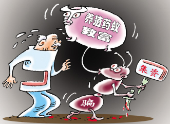 “蚂蚁神话”的破灭