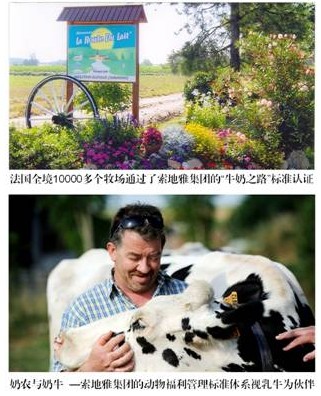 爱达力奶粉展示：牛奶之路标准与爱达力100%纯法国血统