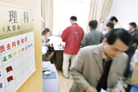 办狗证最近大热 杭州狗狗有望引入芯片管理