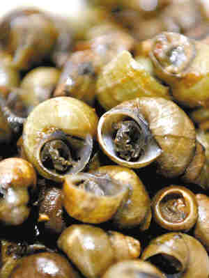 健康指南：含钙食物冠军-石螺