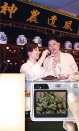 楼市资金搅动药材市场