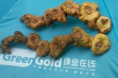 黄精己上市，旺季却不旺