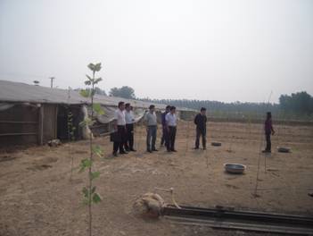 山东省艾滋病防治协会到菏泽市牡丹区现场开展艾滋病病人生产帮扶工作