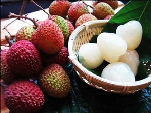 夏季辉煌祛斑 让你美白无暇“有面子”