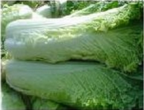 蔬菜营养全剖析一