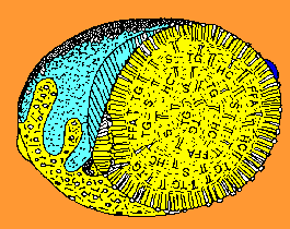 LipoproteinIsolationandAnalysis
