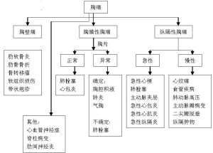 临床思维能力：实践综合考试关键考点
