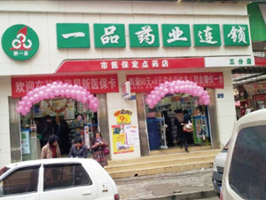 贵阳：新力量撬动市场