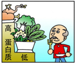 长期素食有危害