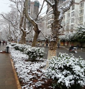 大雪纷飞 爱尔暖人心