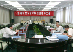 党建达标检查快讯之十八：专家组进行个别访谈